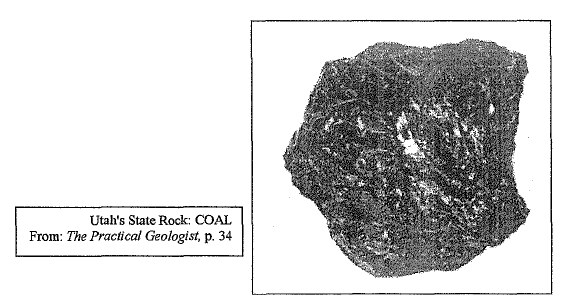  COAL From: The Practical Geologist