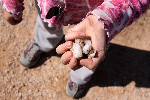 hand full of rocks