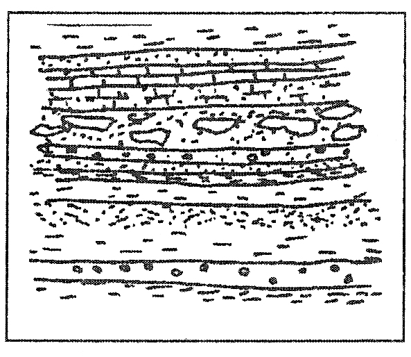 drawing sedimetary
